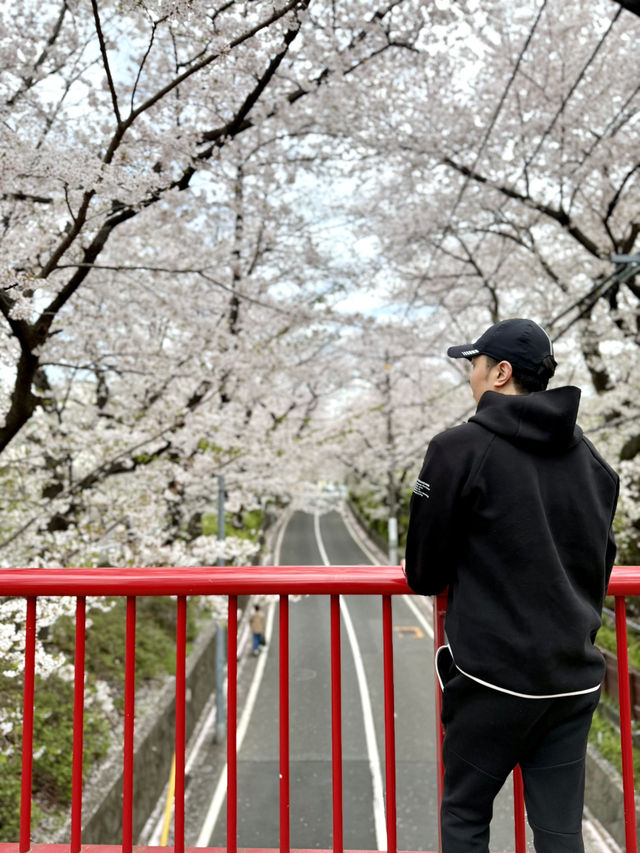 📍桜坂/東京
