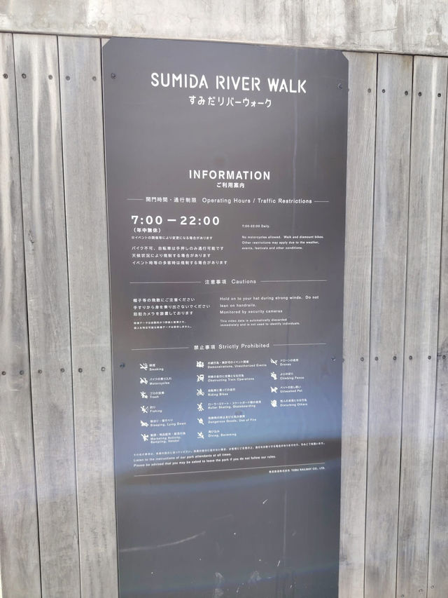 “Petals Over the River: The Dream of Sumida Park”