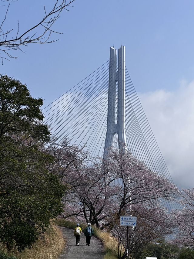 島波海道-尾道到今治的自行車道