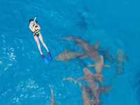 Maldives on a Budget: 7-Day Adventure You’ll Never Forget!