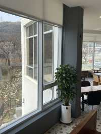 주봉저수지 옆 감성 브런치 카페, 더멜에서의 여유로운 시간 🌿☕️