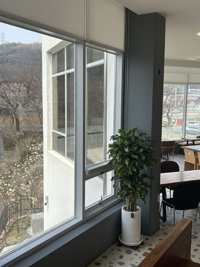 주봉저수지 옆 감성 브런치 카페, 더멜에서의 여유로운 시간 🌿☕️
