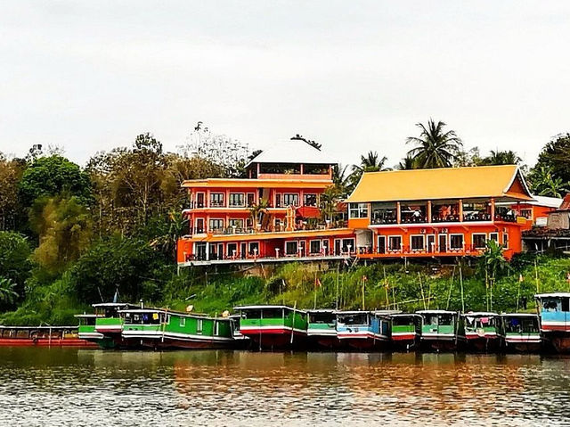 🌿 Houayxay Uncovered: Border Towns, Gibbons & Slow Boat Sunsets in Northern Laos! 🚤  