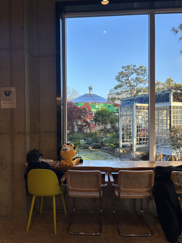 잔디밭이 넓어서 뛰어놀기 좋은 카페 빈로드💚
