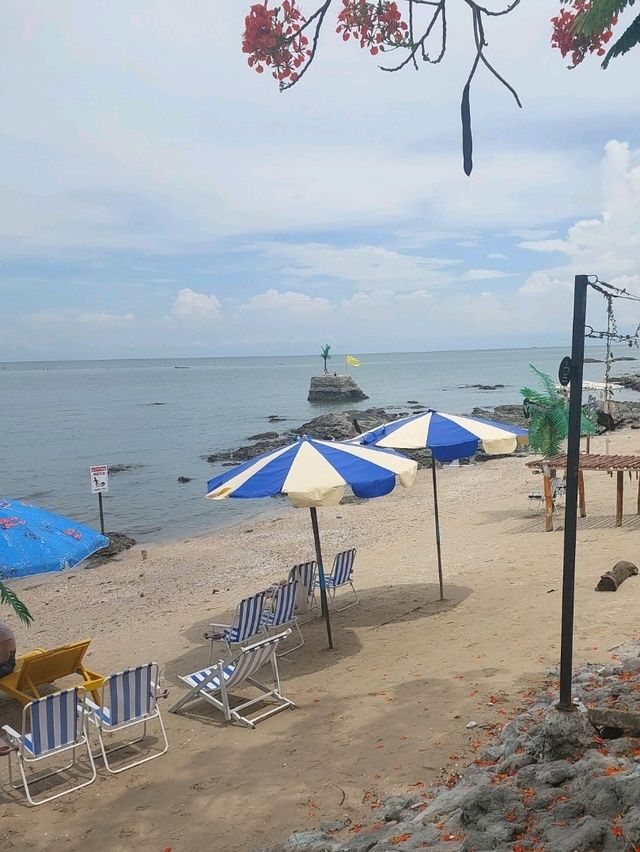 Tiny Island Cafe @ Bangsan