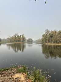 Drive to Twenty Thousand Lake (Bis Hazari Tal), Tikauli, Chitwan: A Wild Encounter