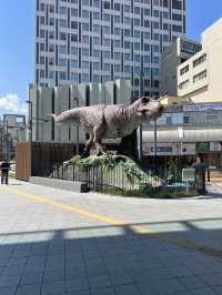 福井で唯一の外資系ホテル！🏨