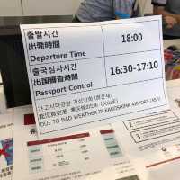 화산재 때문에 지연된 비행기
