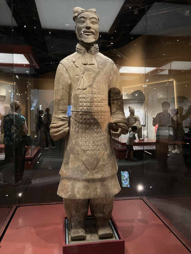 香港也能免費看到兵馬俑