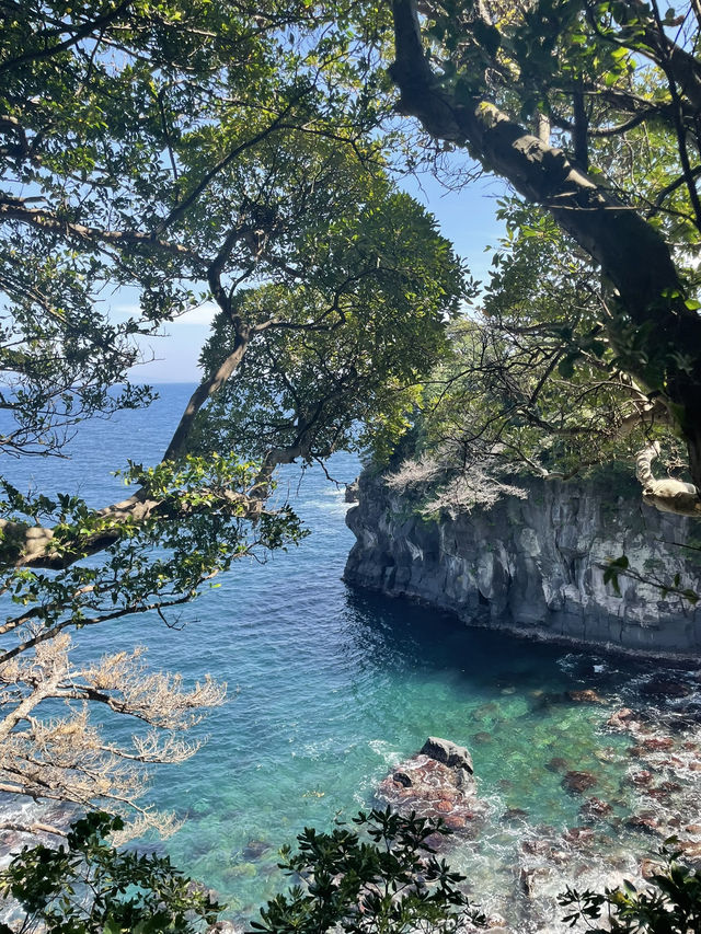 １泊２日の熱海〜伊豆旅行