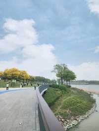 เที่ยวชมสวนสาธารณะ Shenzhen Talent Park