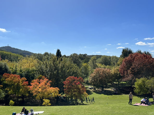 Adelaide 紅葉🍁秘景