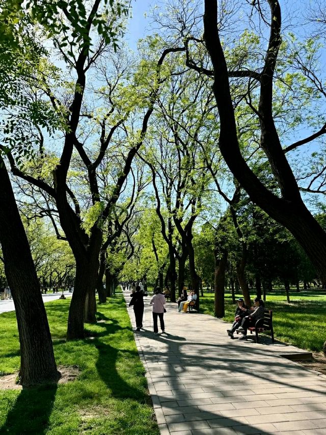 Beijing: Where Ancient Majesty Meets a Modern Pulse