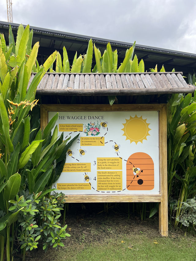 Big Bee farm ฟาร์มผึ้ง