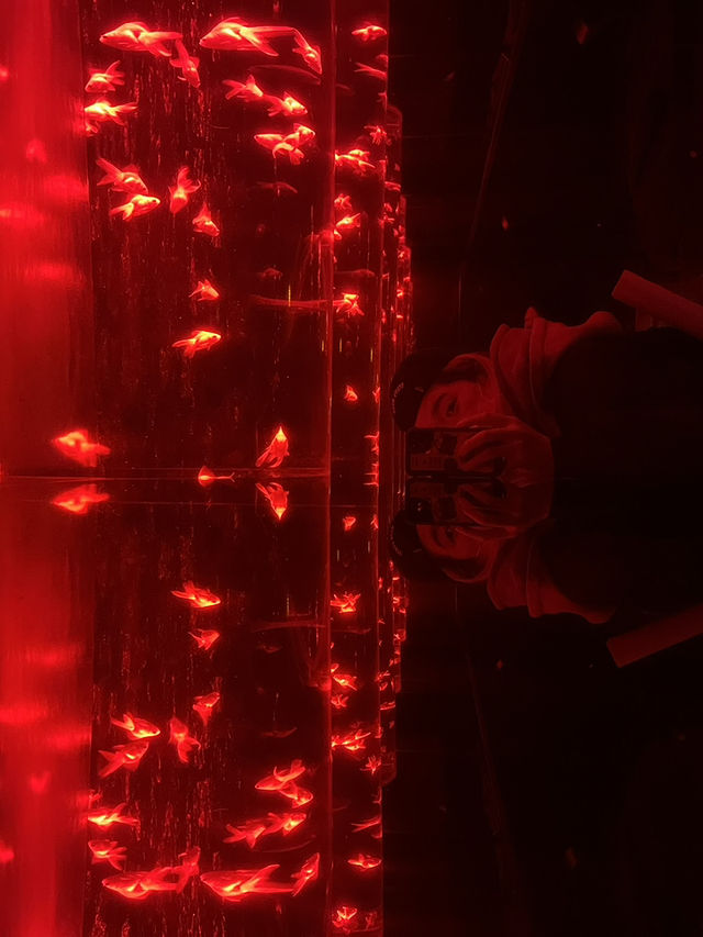 【銀座的夢幻秘境！藝術與水族的奇幻融合體驗🐠✨】