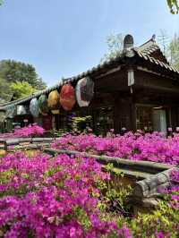 Small Budget Traveling to Seoul, Korea