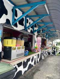 Slow Escape: A Relaxed Day in Kelantan!