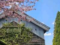 Into the Earth’s Breath – Exploring the Fiery Spirit of Noboribetsu