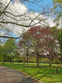 Alexandra Park