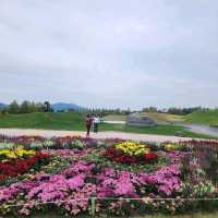 Suncheon Bay National Garden (Suncheon)