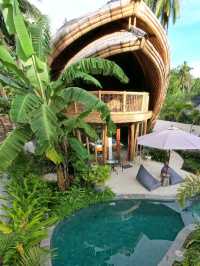 🌿✨ Unveiling Ubud – Bali’s Cultural Heartbeat! ✨🌿