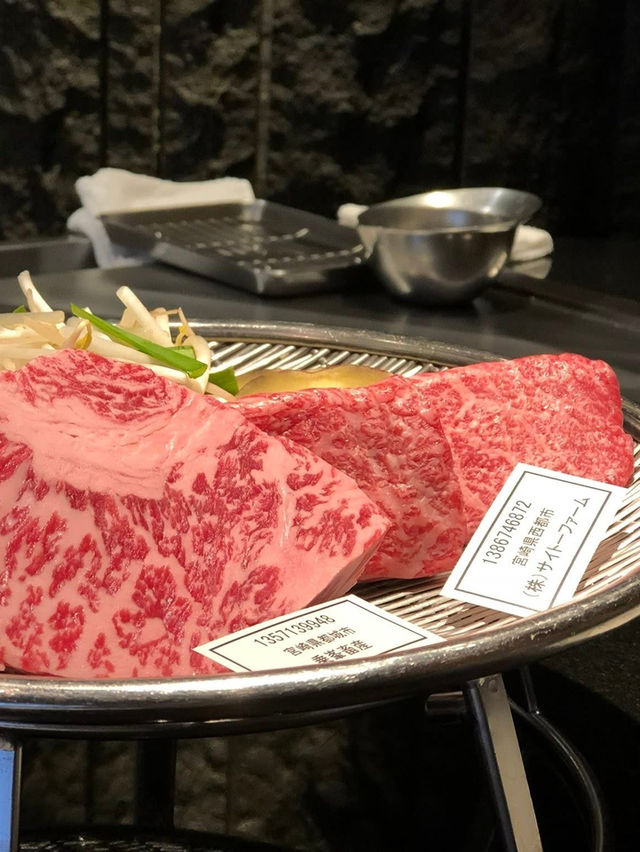 日本自由行必去城市！一關鍵打趴其他地區