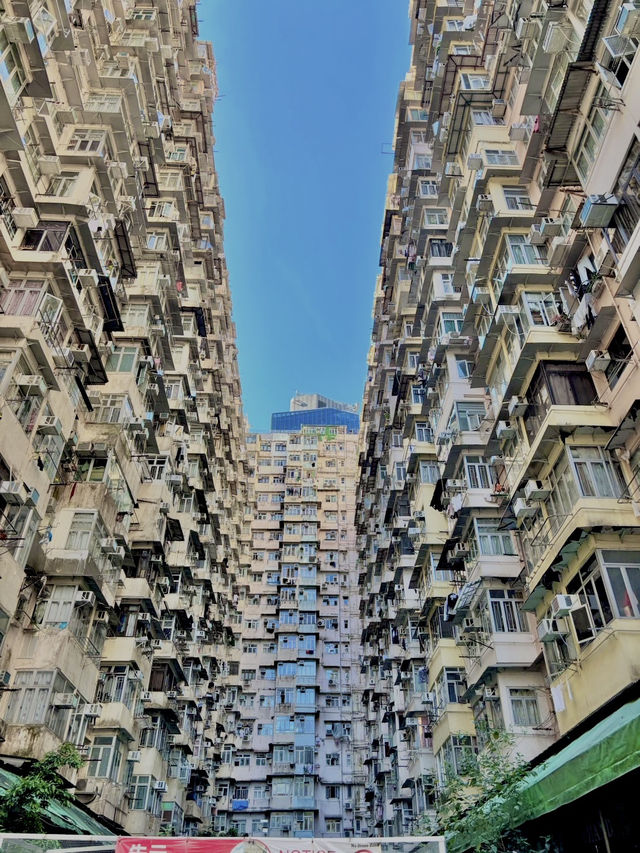 香港漫遊🇭🇰