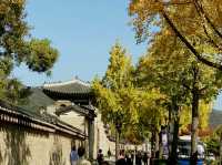 韓國🇰🇷德壽宮