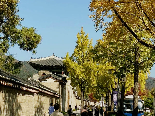 韓國🇰🇷德壽宮