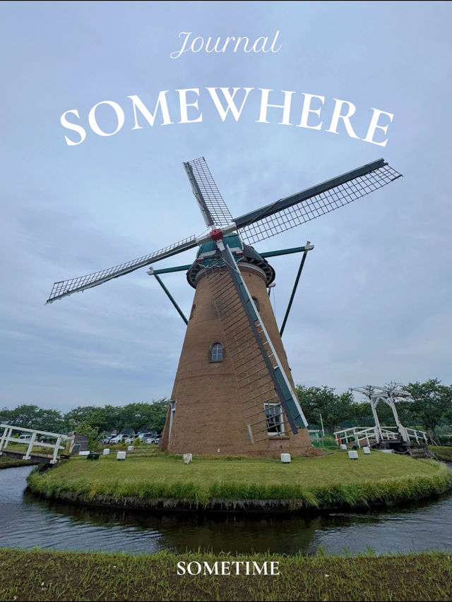 本当に日本？オランダ風車と長閑な風景に癒される佐倉ふるさと広場☺️🌷🇳🇱【千葉県】