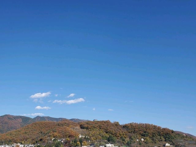 石垣の上からの景色が🙆