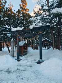 BEAUTIFUL PARK.