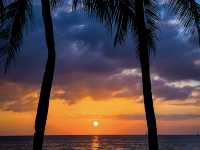 Wonderland Boracay