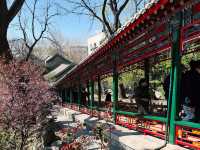 Prince Kung's Mansion