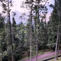 “Weekend Escape to Taman Saujana Hijau: A Lush Green Retreat in Putrajaya”