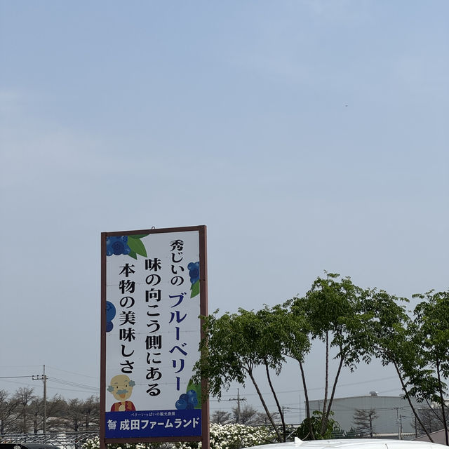 無料で楽しめるバラ園やアスレチック！