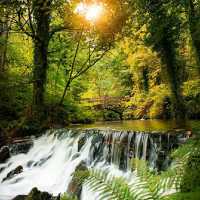 Cavan Burren Park – Ireland’s Ancient Landscape of Mystery and Beauty