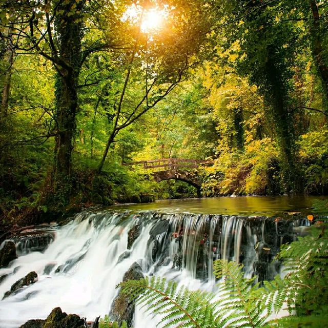 Cavan Burren Park – Ireland’s Ancient Landscape of Mystery and Beauty