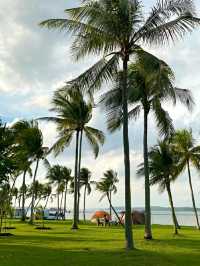 Pasir Ris Park – A Relaxing Coastal Escape in Singapore