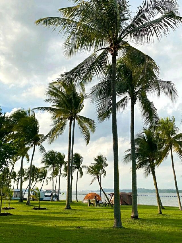 Pasir Ris Park – A Relaxing Coastal Escape in Singapore
