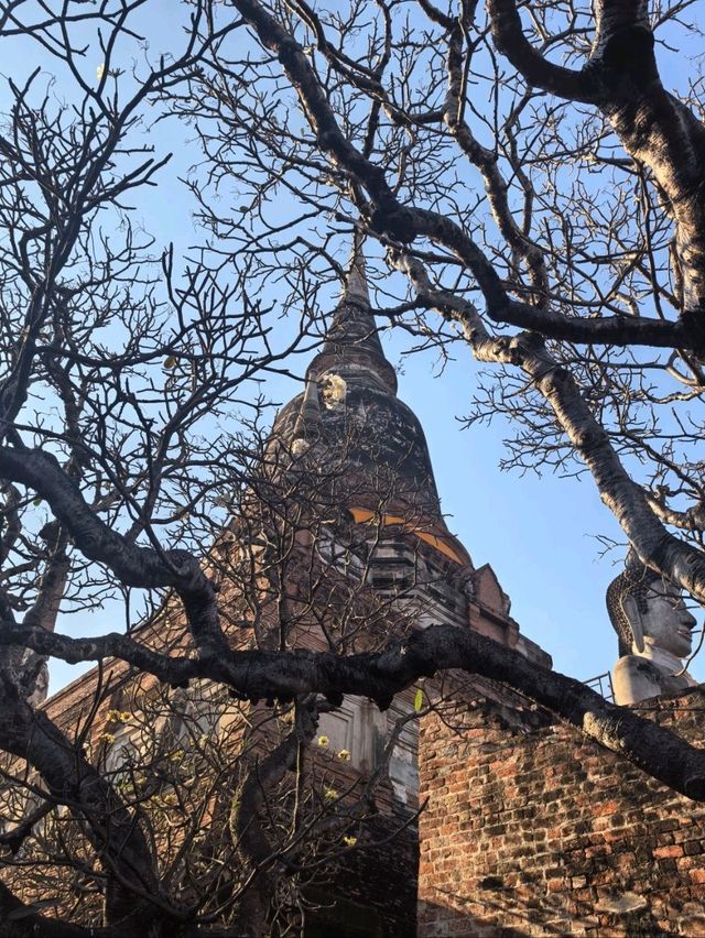 เที่ยววัดใหญ่ชัยมงคล: สัมผัสความสงบกลางเมืองเก่า