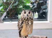 【島根県】 湖畔に広がる花と鳥のテーマパーク『松江フォーゲルパーク』🦉