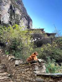 Tiger’s Nest Monastery – A Sacred Trek That Tests Your Limits