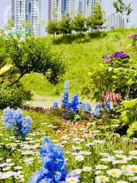 A Refreshing Escape at Eungbong Sports Park