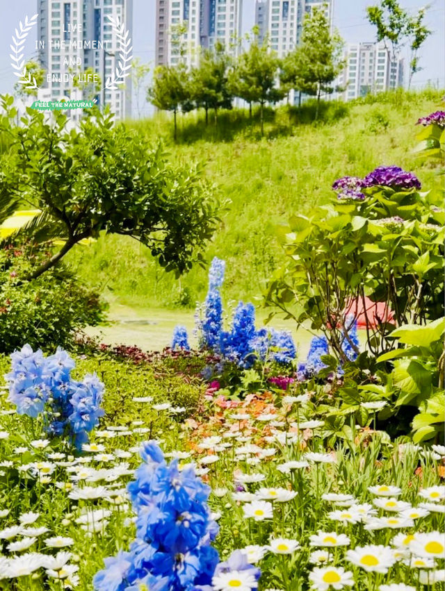 A Refreshing Escape at Eungbong Sports Park