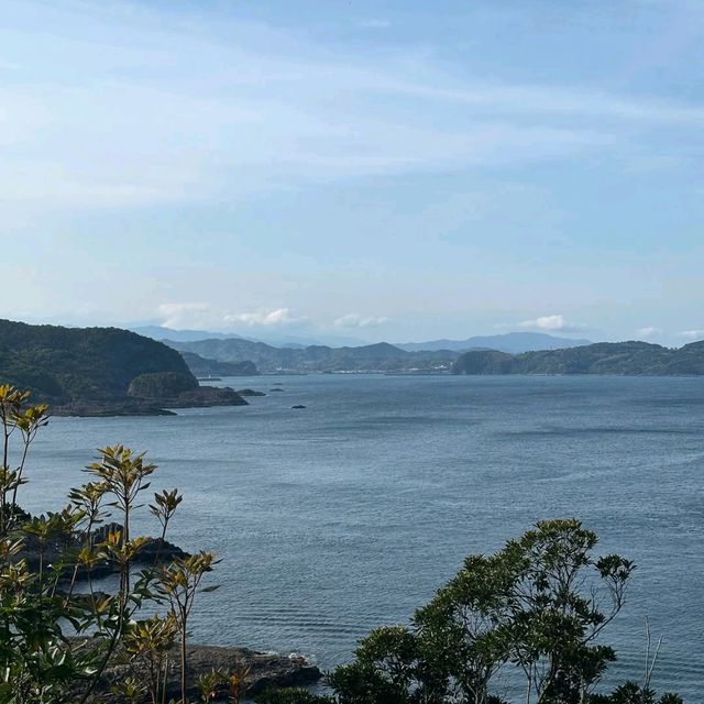 Skeluccha Views Hit Different