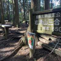 【岩湧山でススキ三昧】 🌾　大阪