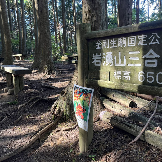 【岩湧山でススキ三昧】 🌾　大阪