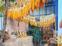 ร้านปาฎี ตกแต่งที่อบอุ่นและทันสมัยเข้ากับบรรยากาศ