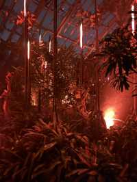 【京都】幻想的な光と音に包まれる植物園へ